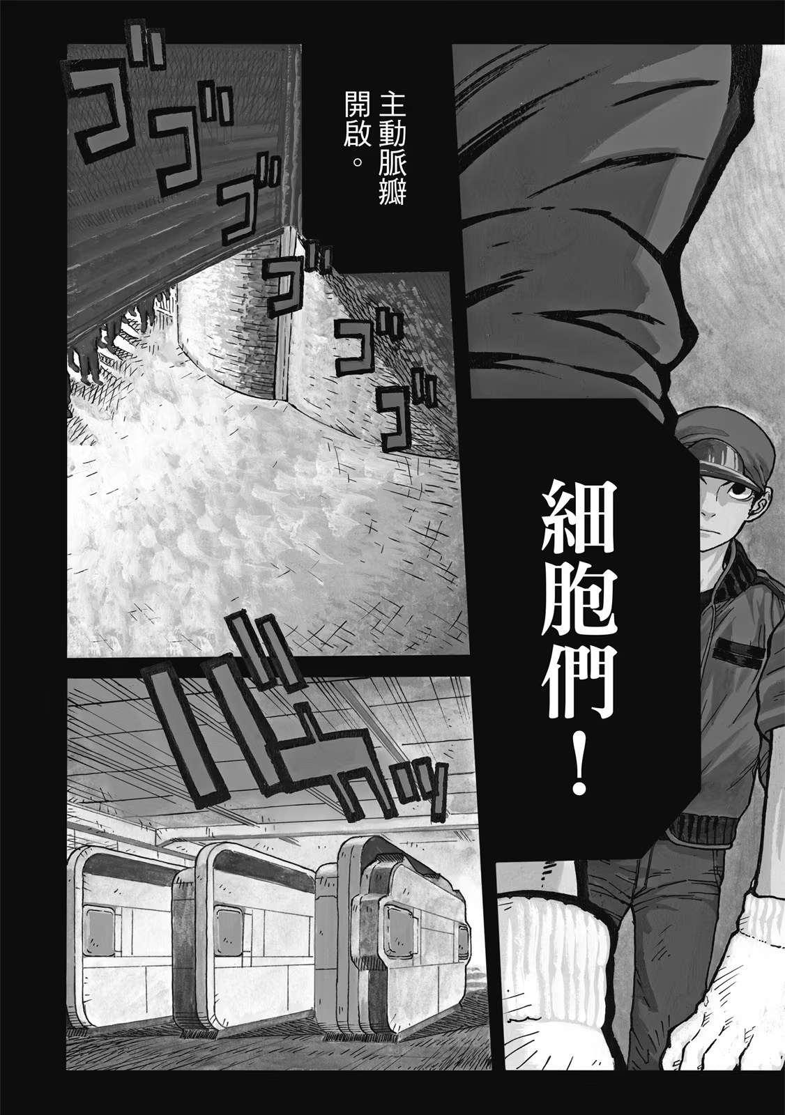工作细胞 BLACK · 5
