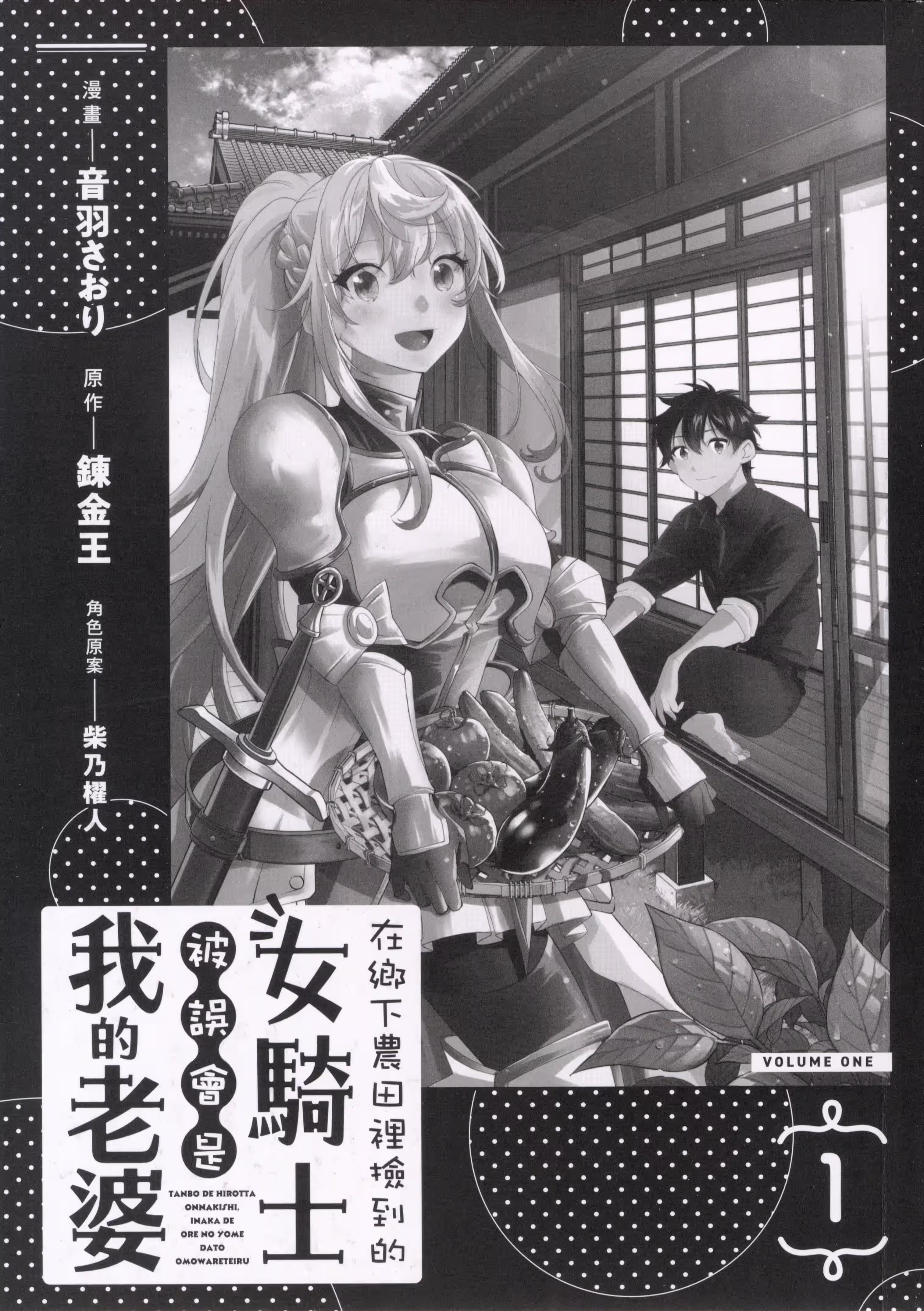 在乡下农田里捡到的女骑士被误会是我的老婆 (Bilimanga #1203) · 2