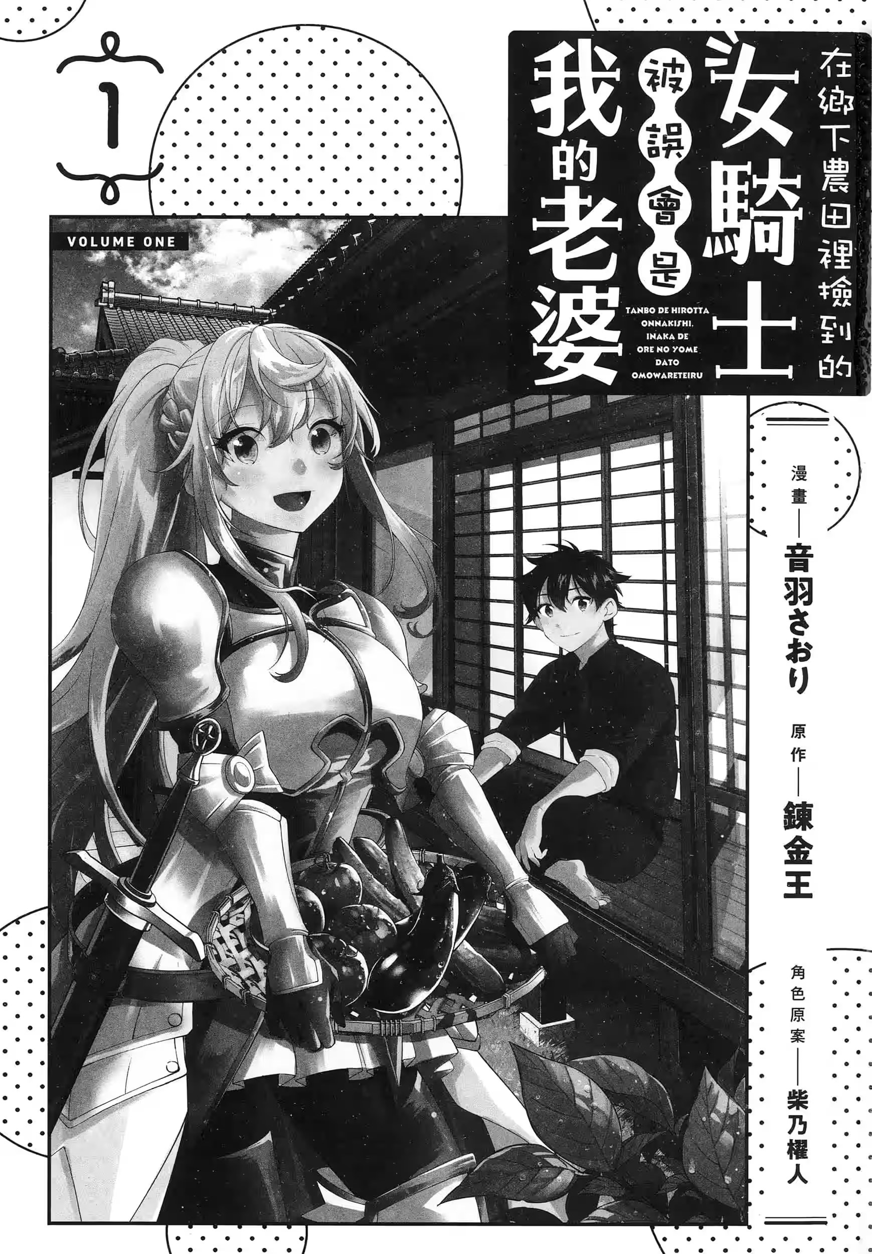 在乡下农田里捡到的女骑士被误会是我的老婆 (Bilimanga #1203) · 5