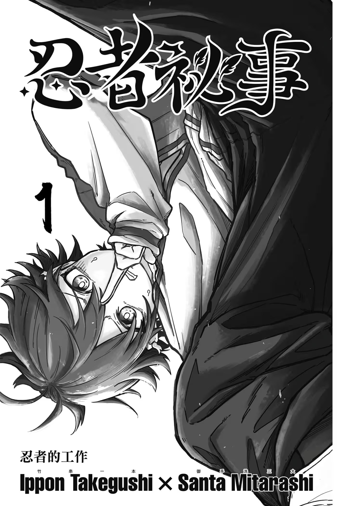 忍者秘事 · 10