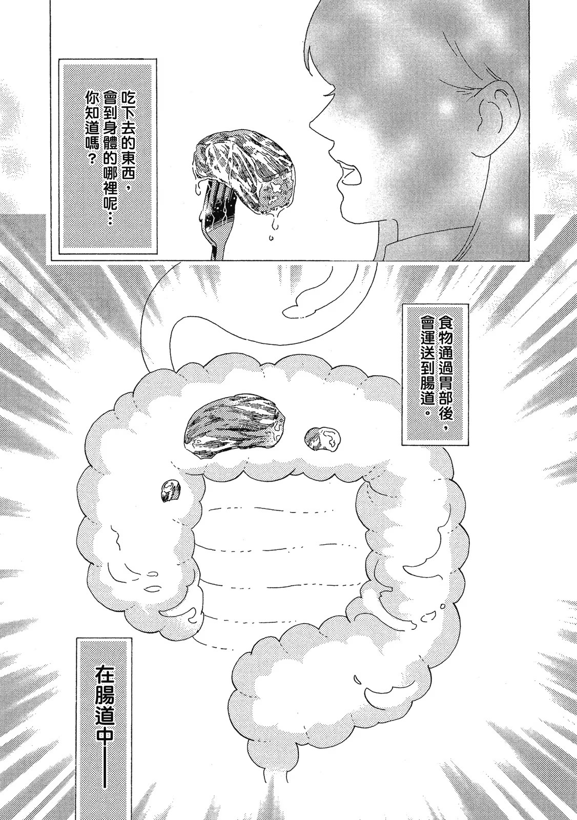 工作细菌 · 7
