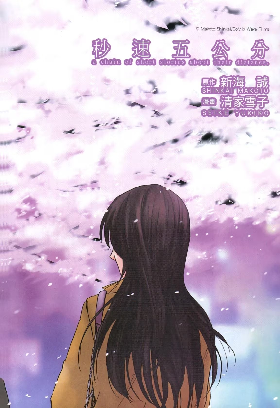 秒速5公分 · 9